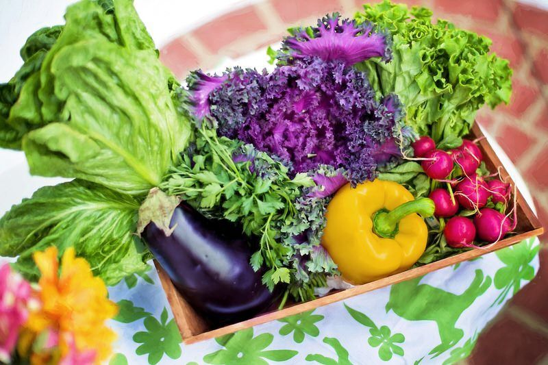 Buena-alimentacion-Nura-Fisioterapia